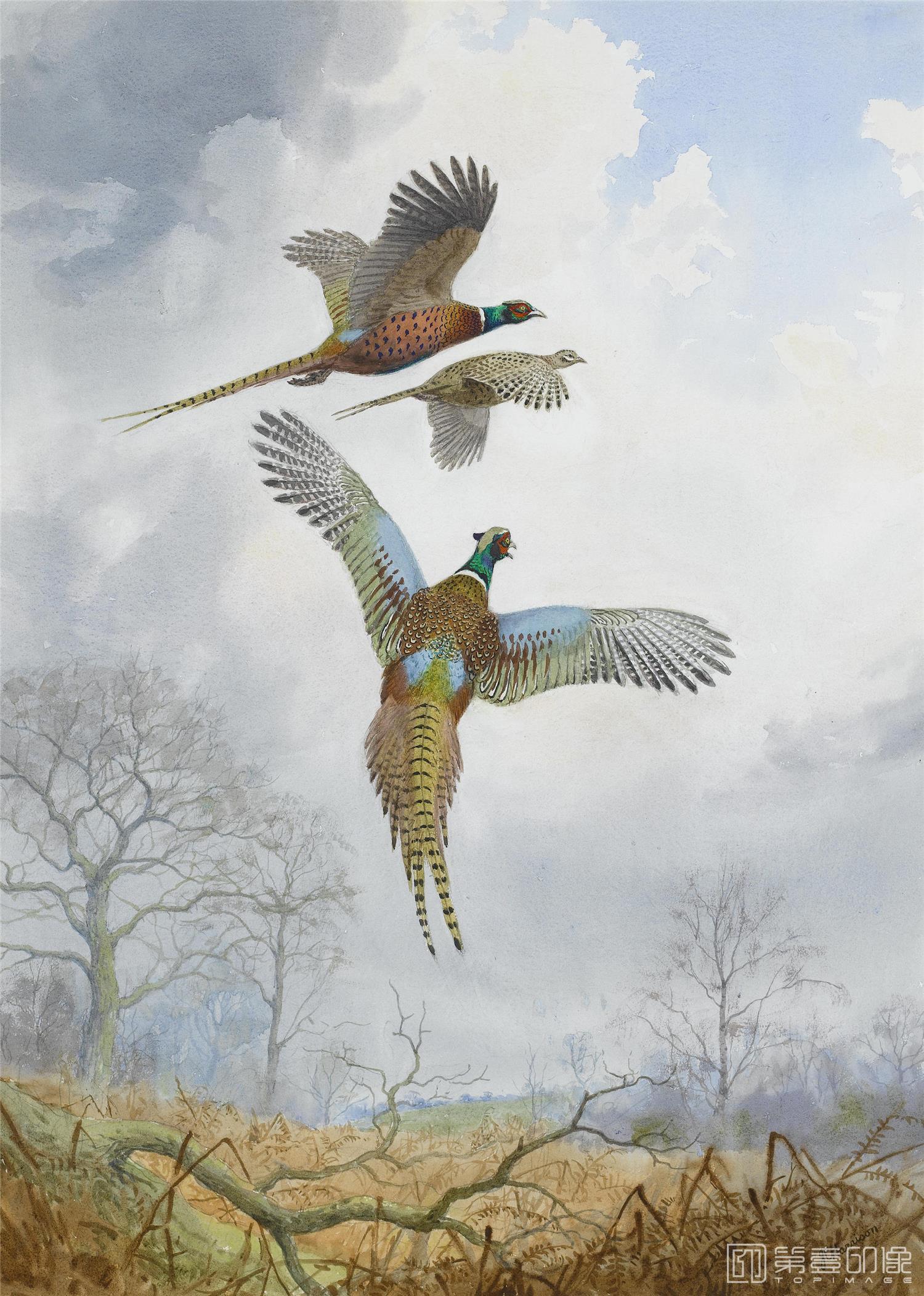 油画-约翰.赛里尔·哈里森 John Harrison作品集-115